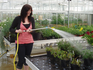 Heidi watering the plants